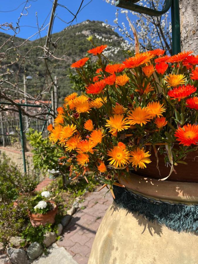 Rocca Di Corno Guest House Finale Ligure Luaran gambar
